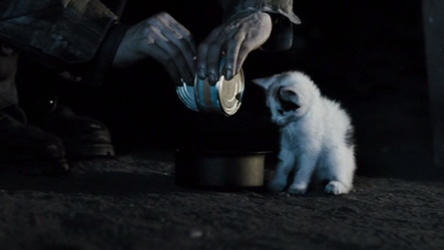 The Good Heart - white and calico kitten eating outside homeless shelter