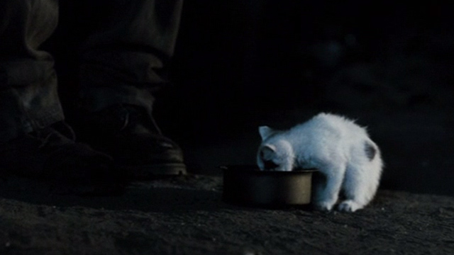 The Good Heart - white and calico kitten eating outside homeless shelter
