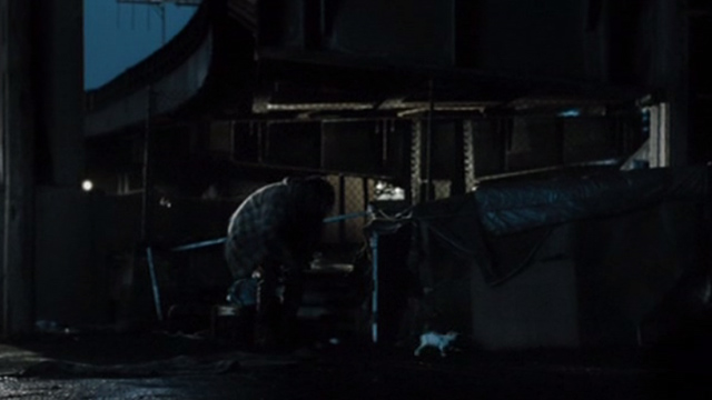 The Good Heart - white and calico kitten running outside homeless shelter