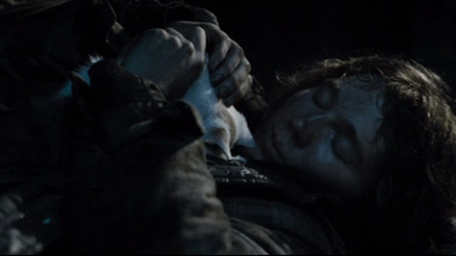 The Good Heart - Lucas Paul Dano with white and calico kitten sleeping on his chest