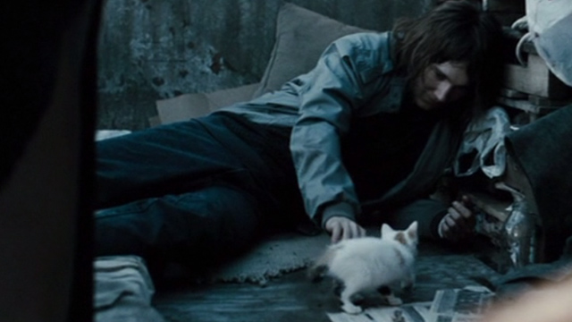 The Good Heart - Lucas Paul Dano playing with white and calico kitten