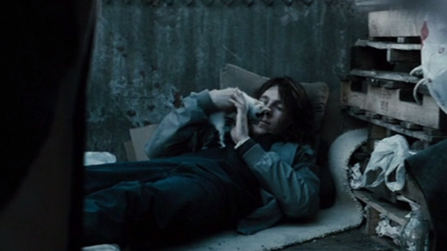 The Good Heart - Lucas Paul Dano with white and calico kitten on his chest