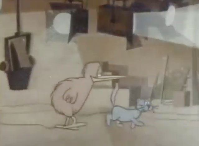 Goodnight Kiwi - cartoon kiwi and grey cat walking through television studio