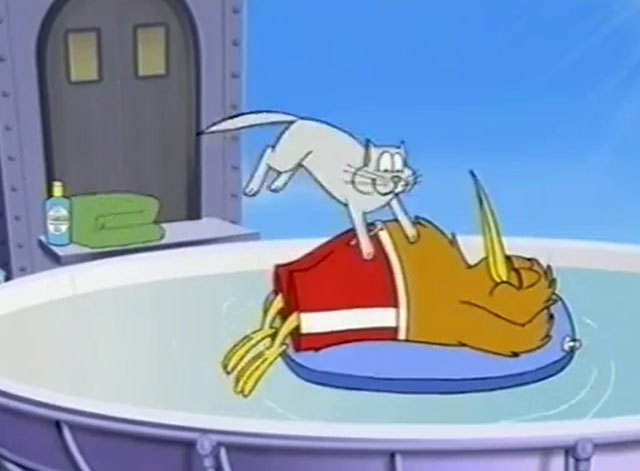 Goodnight Kiwi - cartoon kiwi and grey cat in satellite swimming pool