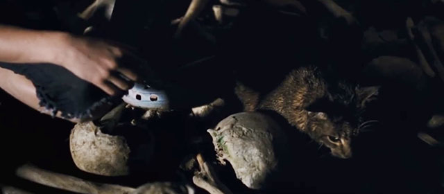 Goodnight Mommy - tabby cat Leo matted with dirt in charnel house