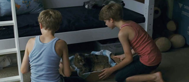 Goodnight Mommy - tabby cat Leo lying in box in Lukas and Elias Schwarz house