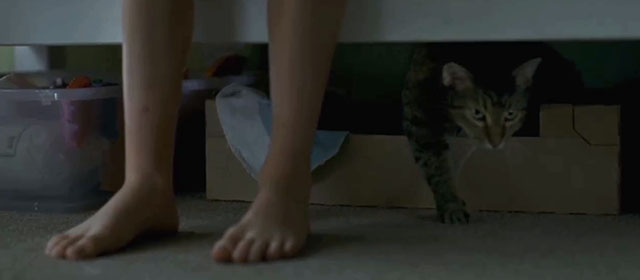 Goodnight Mommy - tabby cat Leo starting to crawl out of box under bed