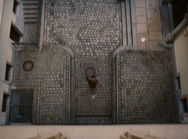 The Grand Budapest Hotel - cat flattened outside window