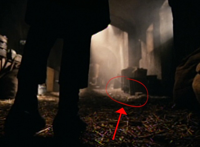 The Grand Budapest Hotel - black cat running through alley