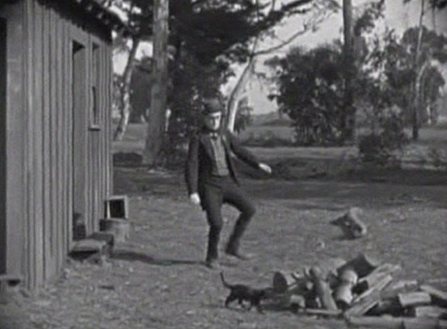 Grandma's Boy - Harold Lloyd walking around black cat