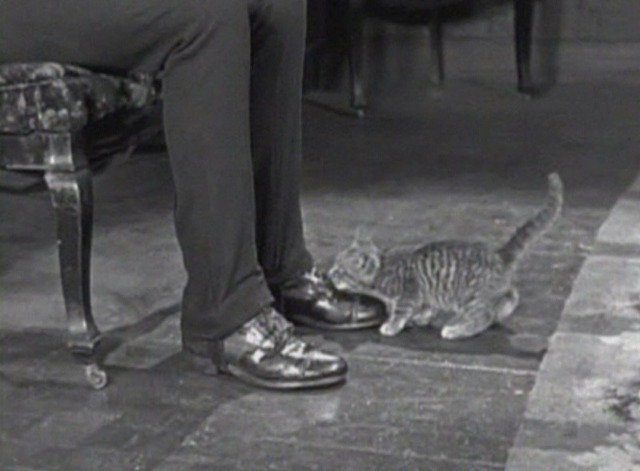 Grandma's Boy - kitten licking Harold Lloyd's shoe