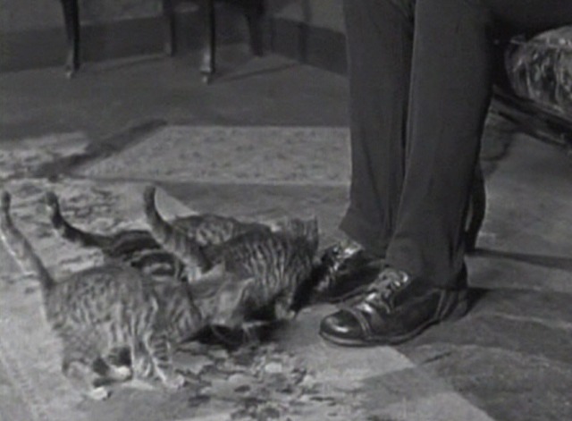 Grandma's Boy - kittens move across room to continue licking Harold Lloyd's shoes