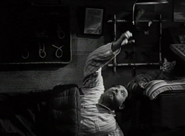 The Great Gildersleeve - tabby cat watches Gildersleeve try to turn off the light