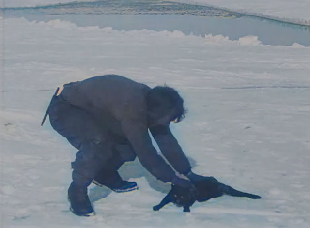 The Great White Silence - black cat sprawled on snow at feet of sailor Lees from Terra Nova