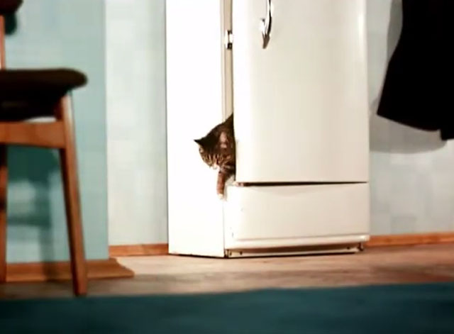 Greedy Kuzya - brown and white tabby cat Kuzya coming out of refrigerator