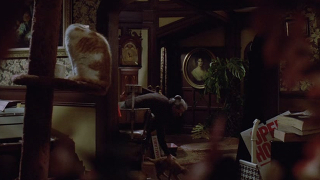Gremlins - Mrs. Deagle Polly Holliday setting orange tabby cat Drachma on floor with orange and white cat Old Dollar Bill in foreground