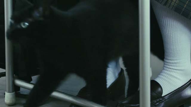 The Grudge 2 - black cat Mar walking between Allison's legs in class