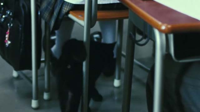 The Grudge 2 - black cat Mar walking towards Miyuki's desk in class