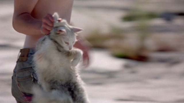 Gummo - dirty white long-haired cat being carried by scruff