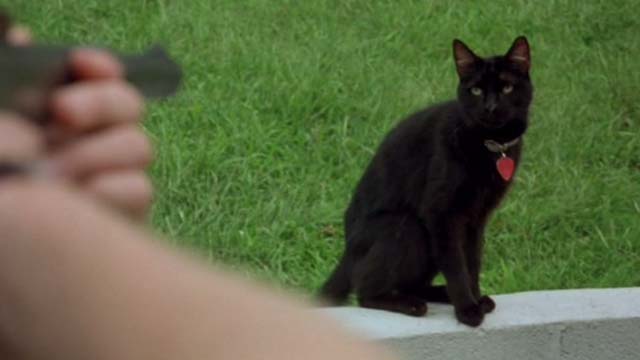 Gummo - black cat Foot Foot with gun pointing at her