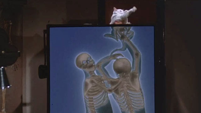 Gus - human skeletons fighting behind X-ray machine with white cat showing on top
