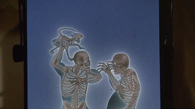 Gus - human skeletons fighting with cat skeleton behind X-ray machine