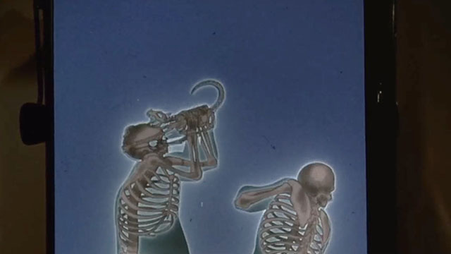 Gus - human skeletons fighting with cat skeleton behind X-ray machine