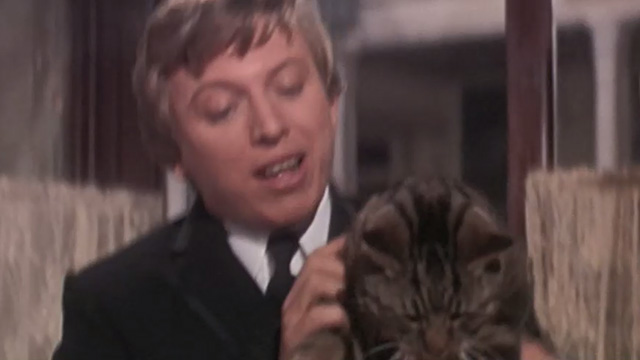 Half a Sixpence - Arthur Kipps Tommy Steele picking up Bengal tabby cat Edwin