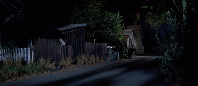 Halloween III: Season of the Witch - white cat with black tabby markings on fence in alley