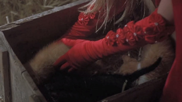 Halloween 5: The Revenge of Michael Meyers - ginger tabby kitten being picked up from wooden box of kittens