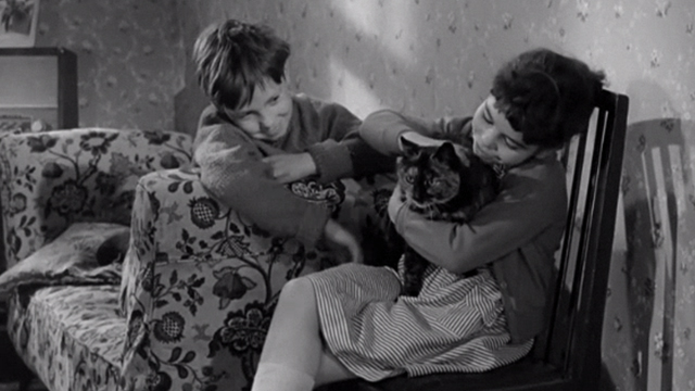 Hand in Hand - Rachel Loretta Parry  and Michael Philip Needs with tortoiseshell cat Sam