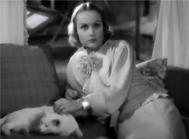 Hands Across the Table cat