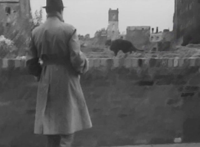 The Hangman Waits - Sinclair Anthony Baird approaching tuxedo cat on wall