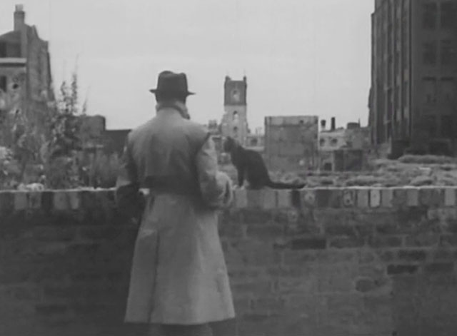 The Hangman Waits - Sinclair Anthony Baird with tuxedo cat on wall
