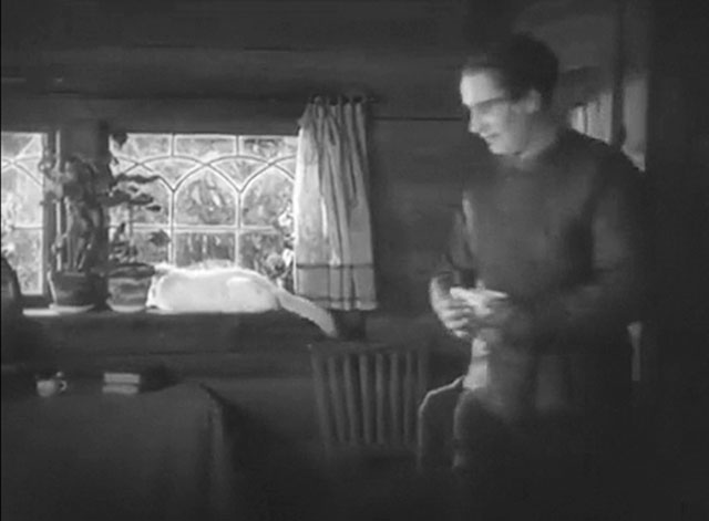 Hans engelska fru - His English Wife - Discord - Birger Holm Urho Somersalmi with longhair white cat in window