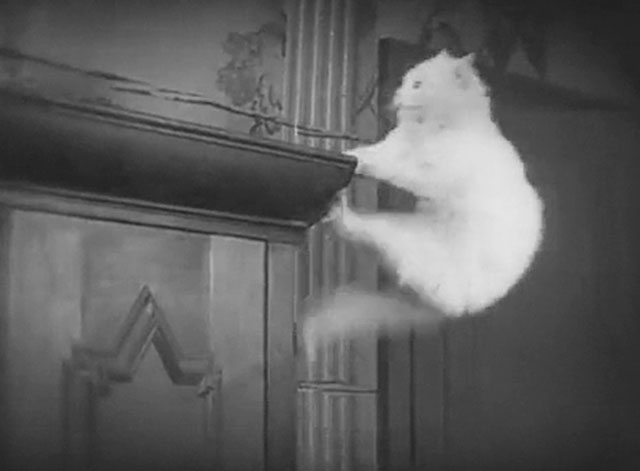 Hans engelska fru - His English Wife - Discord - longhair white cat leaping to top of wardrobe