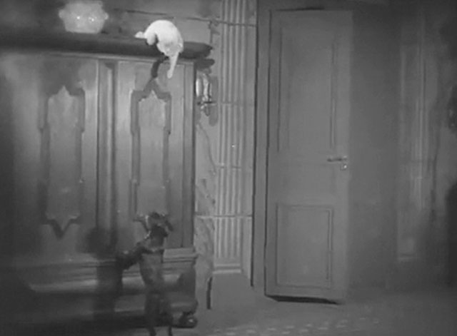 Hans engelska fru - His English Wife - Discord - longhair white cat on top of wardrobe with French bulldog below