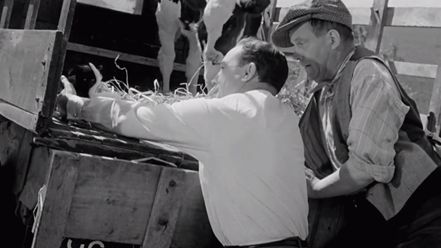 The Happy Road - black and white kittens in back of truck being picked up by Mike Gene Kelly