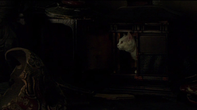 Hara-Kiri - dirty white cat inside cupboard