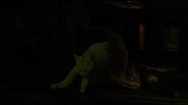 Hara-Kiri - dirty white cat licking itself