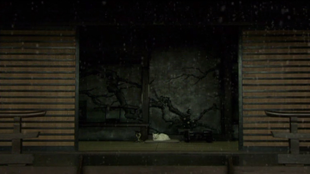 Hara-Kiri - white cat looking at snowy courtyard