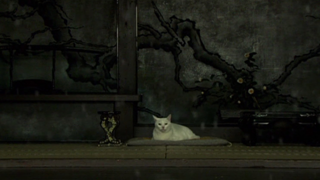 Hara-Kiri - white cat looking at snowy courtyard closer