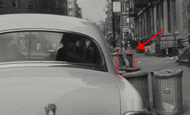 The Harder They Fall - cat on back legs by garbage can