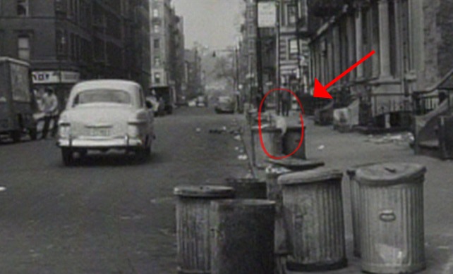 The Harder They Fall - cat on garbage can