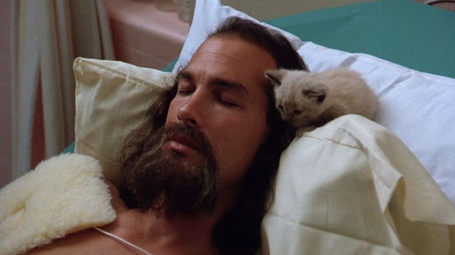 Hard to Kill - Siamese kitten beside Mason Storm Steven Seagal's head in coma