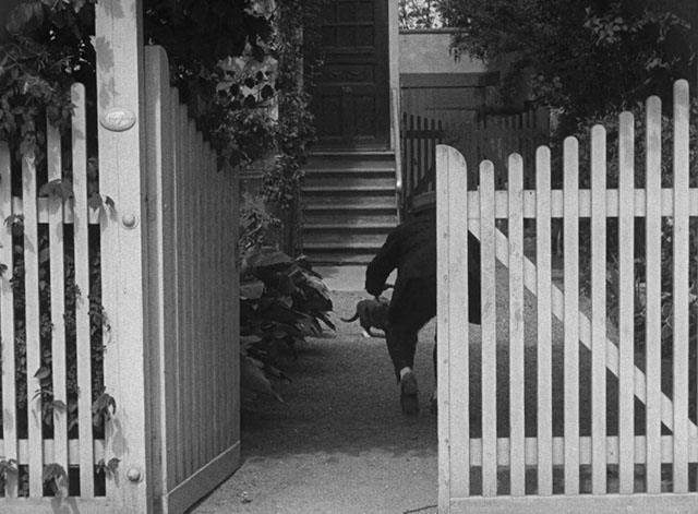 Harestegen - Nokkesen Frederick Buch sneaking up on tabby and white cat in yard