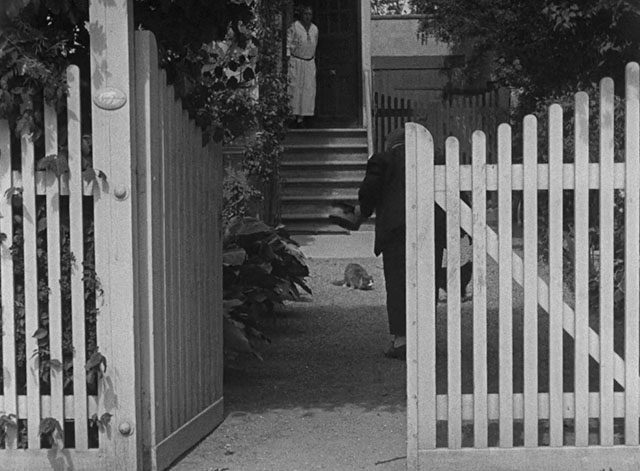 Harestegen - woman catching Nokkesen Frederick Buch sneaking up on cats in yard