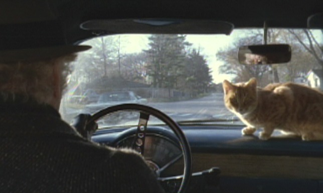 Harry & Tonto - Harry Art Carney driving with ginger tabby cat Tonto on dashboard