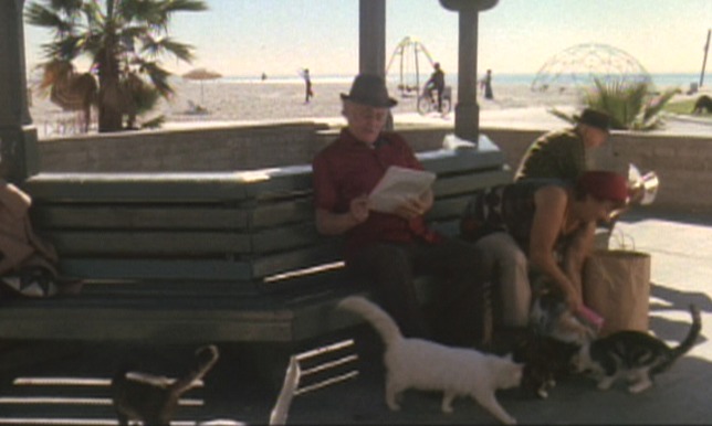 Harry & Tonto - Harry Art Carney sitting on bench at beach with woman feeding stray cats