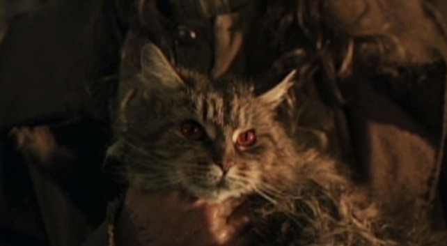 Harry Potter and the Chamber of Secrets - Mrs. Norris cat in Argus Filch's arms